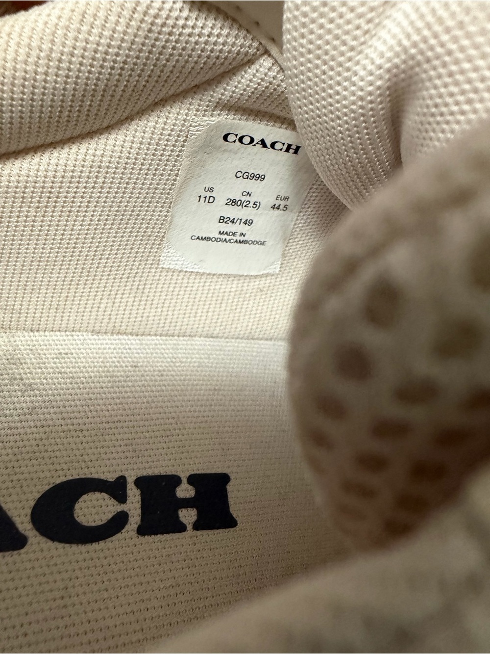Coach Low Top Logo Sneakers in Chalk with Black Heel Accent - Picture 5 of 5